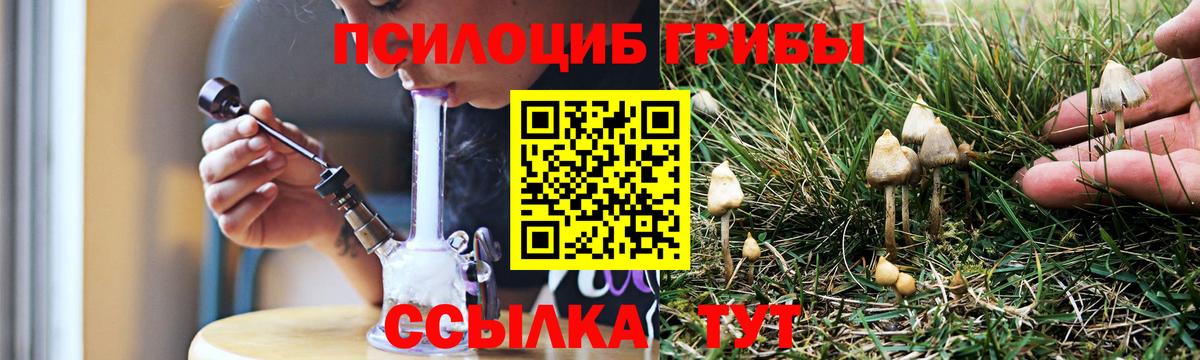 Псилоцибиновые грибы Psilocybe  купить наркотик  Вход с VPN  Можга  Галлюциногенные грибы прущие грибы 