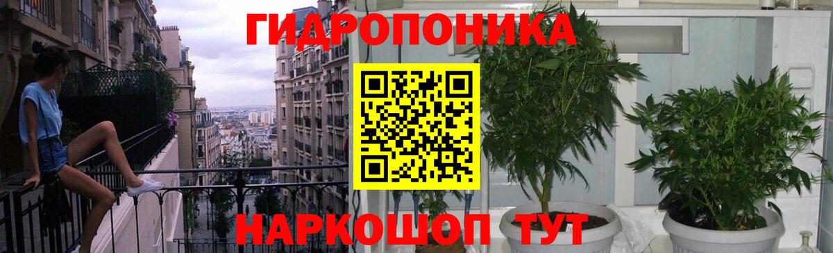 Можга  МАРИХУАНА OG Kush  Вход с VPN  Конопля сатива  Марихуана Amnesia 